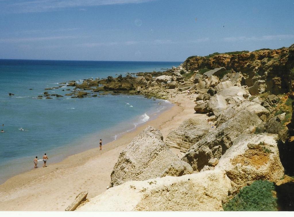 Hostal Paco Pepe Conil De La Frontera Dış mekan fotoğraf